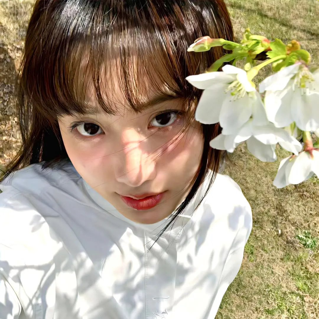 完美家伙